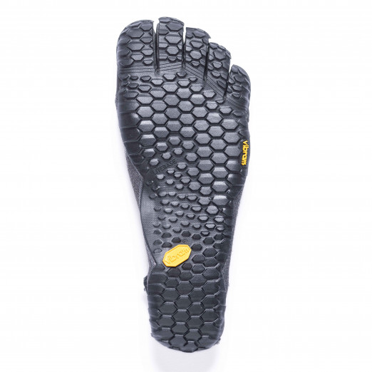CVT LB 23M9904